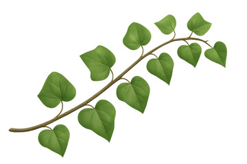 Obraz premium Realistic illustration of a branch with vibrant green leaves, isolated on a transparent background, perfect for nature-themed designs
