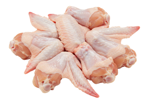 Fresh Raw Chicken Wings A Culinary Foundation for Delicious Meals and Appetizers