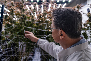 A researcher inspects cannabis plants in a high tech indoor facility, using digital technology for data analysis. Advancements in medical cannabis are shaping the future of sustainable cultivation.