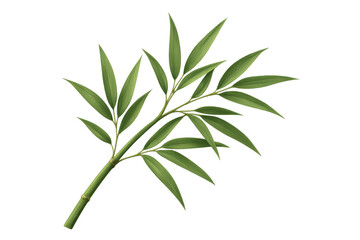 Fototapeta premium Vivid green bamboo branch with lush leaves, rendered in sharp detail against transparent background, perfect for graphic design and digital compositions