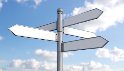 Blank Directional Signpost Against Blue Sky with Clouds with Choosing Your Path.