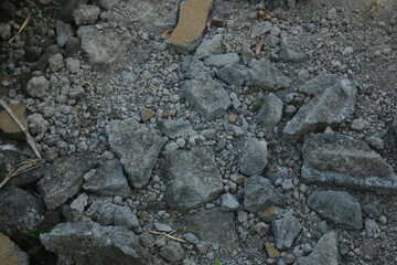 Fragments of concrete walls that were torn down at the site began to be covered by plants. the wall...