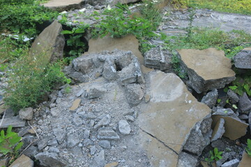 Fragments of concrete walls that were torn down at the site began to be covered by plants. the wall of the house collapsed