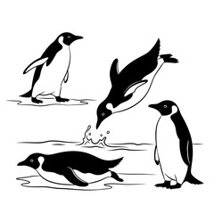 Obraz premium Penguin Vector Set: Antarctic Wildlife Illustration on Ice and Water