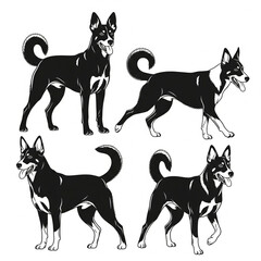 Dog black and white victorian photo set