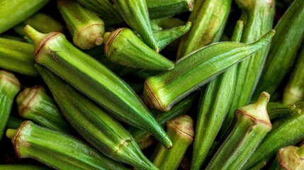Fototapeta premium Fresh Green Okra: A Vibrant Harvest of Healthy Goodness