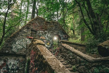 Abandoned Stone Structure Surrounded by Lush Green Forest