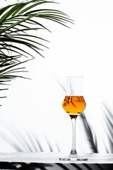 Enjoying a glass of grappa next to lush palm leaves on a bright afternoon