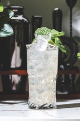 chilled cocktail featuring dry gin, fresh mint, and ginger ale over ice at a cozy bar, perfect for...