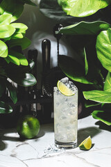 Refreshing vodka cocktail with lime and ginger beer surrounded by lush greenery on a summer day