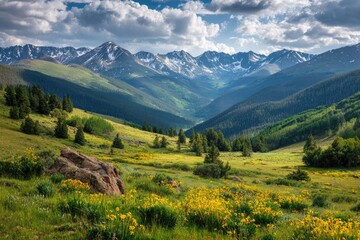 Obraz premium A vibrant mountain valley scene, showcasing a lush meadow filled with wildflowers, nestled between rolling hills and a majestic snow-capped mountain range under a partly cloudy sky