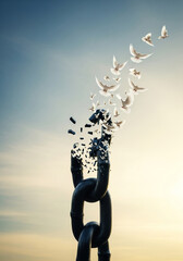 Doves Transform from Broken Chains Symbolizing Freedom and Hope