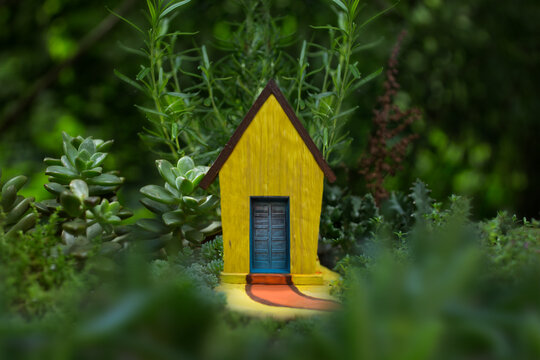 Fairy house in meadow 