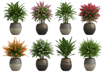 A vibrant collection of potted plants showcasing various colorful flowers in decorative pots