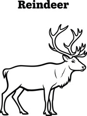 Obraz premium A majestic reindeer illustration showcases its impressive antlers and elegant form, perfect for winter holiday designs, educational materials, and wildlife-themed projects.