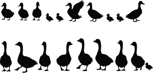 Silhouettes of ducks and geese in various poses, standing and walking, perfect for wildlife, farm animal, and nature designs