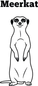 A charming meerkat illustration stands upright, showcasing its distinctive posture and curious expression, perfect for educational materials or wildlife-themed designs.