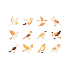 Fototapeta premium set of birds