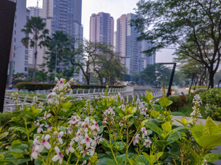 Fototapeta premium View of Jakarta's public park in the morning with a clean river and modern buildings in the background