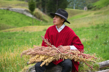 Latin american farmer holding quinoa crop in andes mountains
