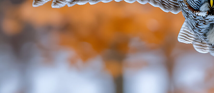 An owl’s wing is broad, soft-feathered, and silent in flight, built for stealth. Its layered feathers muffle sound, while the powerful span glides gracefully through moonlit skies with ease.