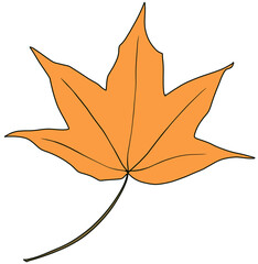 Obraz premium 단풍잎