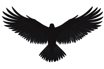Soaring eagle wings wide icon vector illustration isoleted on white background in silhouette .