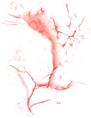 Abstract textured background with vibrant paint splashes and natural leaf shadow overlay effects