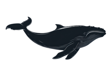 Spouting blue whale icon vector illustration isoleted on white background in silhouette .