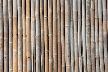 Bamboo Fence Background Natural Texture Pattern