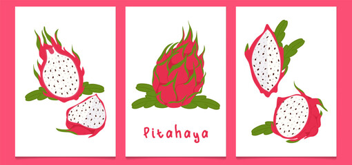 A set of vintage posters featuring hand-drawn pitahayas. A modern botanical print with hand-drawn pitahayas, leaves