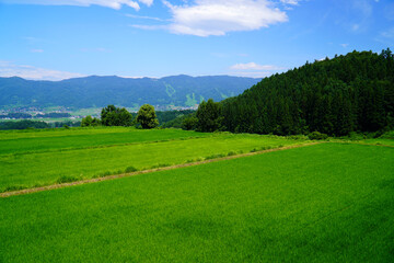 夏の青空と田園風景