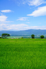 夏の青空と田園風景
