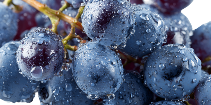 Vibrant Blue Grapes with Water Droplets on Transparent Background, PNG