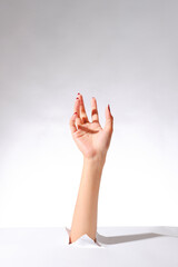 Female hand with red nails and ring rising through torn paper, posed gracefully on white background © Tommy