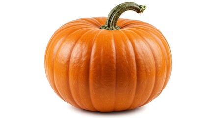 Obraz premium Fresh Ripe Pumpkin on White Background