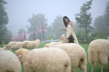 A woman in a light green dress interacts with a flock of sheep in a foggy, lush green field...