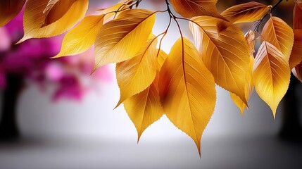 Golden Autumn Leaves Soft Focus Photography
