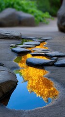 Golden Leaf Reflections in a Serene Creek