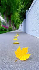 Golden Sycamore Leaves Falling on a City Sidewalk