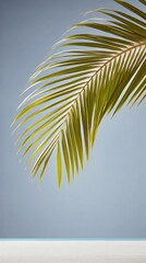 Green Palm Frond Silhouetted Against a Blue Caribbean Sky