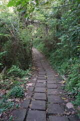 Campuhan Ridge Walk