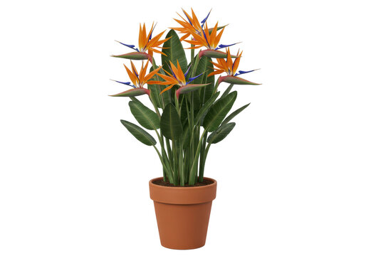Vibrant potted bird of paradise flowers in a terracotta pot against a bright backdrop - Powered by Adobe