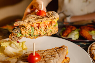 A Tempting Moment of a Delicious Sandwich