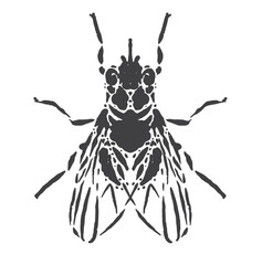dirty fly silhouette illustration