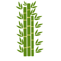 Illustration of bamboo with green leaves. Bamboo illustration. Flat design illustration of green bamboo. Cartoon illustration of bamboo
