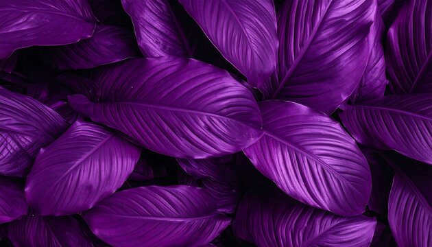 Vibrant purple leaf pattern