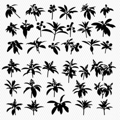 A collection of thirty-six black silhouette illustrations of various plant stems, leaves, and berries arranged in a grid pattern against a transparent background.