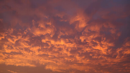 Obraz premium Fiery Sunset Clouds, Vibrant Sky Above Clouds, Golden Hour Cloudscape