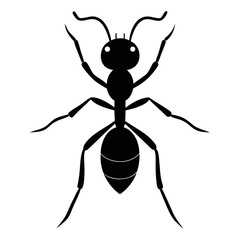 Ant Silhouette Vector